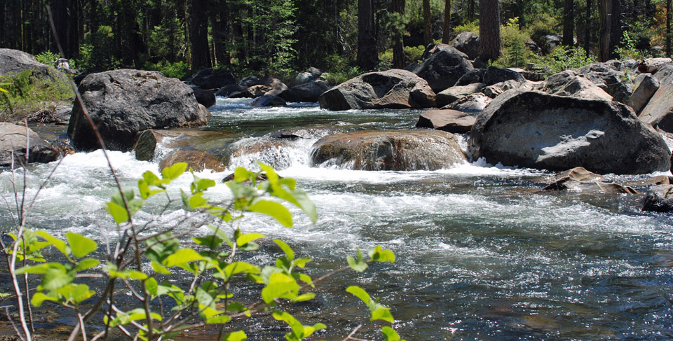 Photo of Fordyce Creek, Nevada County, CA
