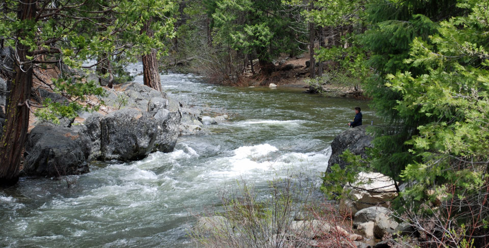 Photo of South Stanislaus River, Tuolumne County, CA