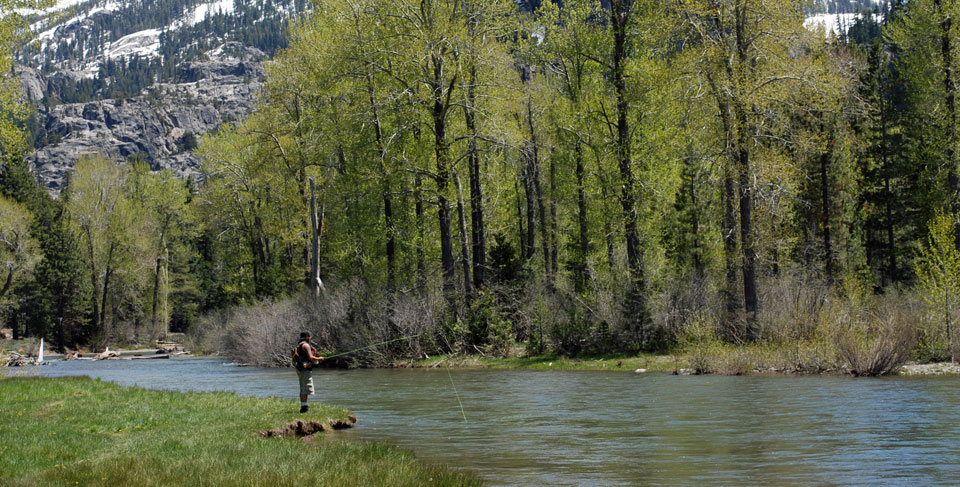 Photo of man fishing the Stanislaus River at Kennedy Meadows, CA