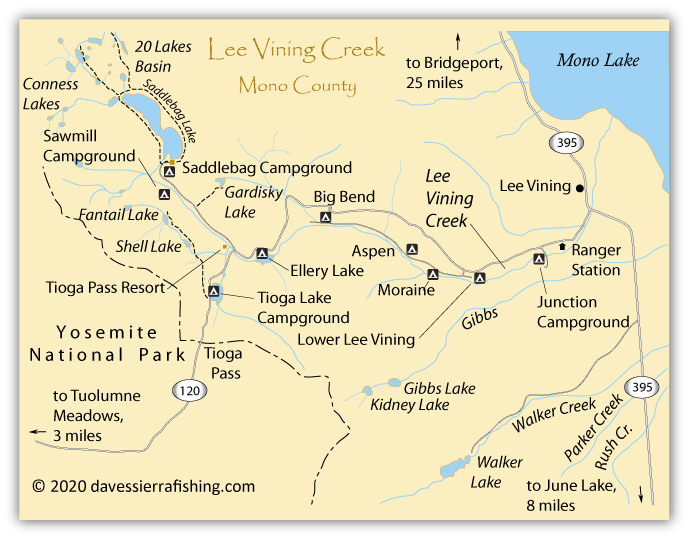 Map lakes and campgrounds along Lee Vining Creek in Mono County, California