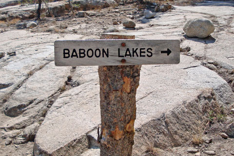 Photo of Baboon Lake sign