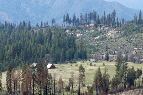 Big Meadow, Foresta, Yosemite, CA