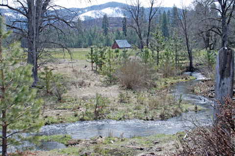 Crane Creek, Foresta, Yosemite, CA