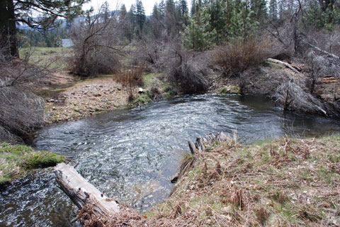 Crane Creek, Floresta, Yosemite, CA