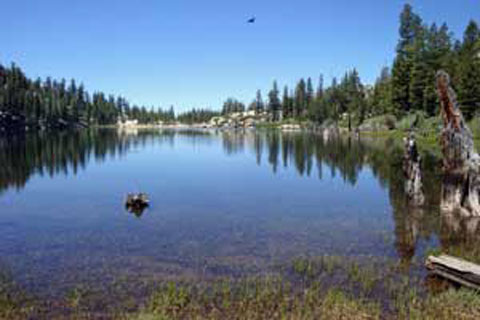 Bear Lake, Emigrant Wilderness, California