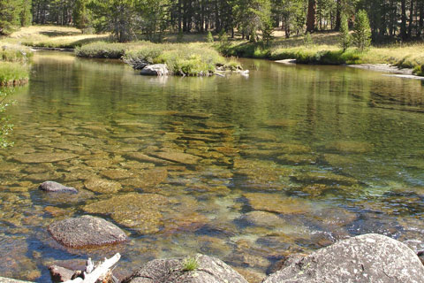 Lyell Fork, Yosemite National Park, California