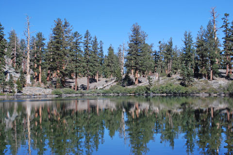 Sharon Lake, Emigrant Wilderness, Tuolumne County, California