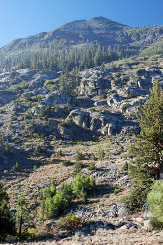 Hillside climb to Sharon Lake, Emigrant Wilderness, Tuolumne County, California