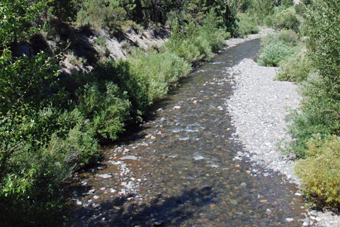 Silver Creek, Alpine County, California
