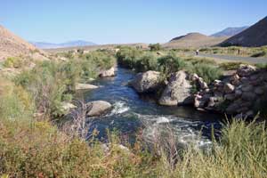Photo of Owens River