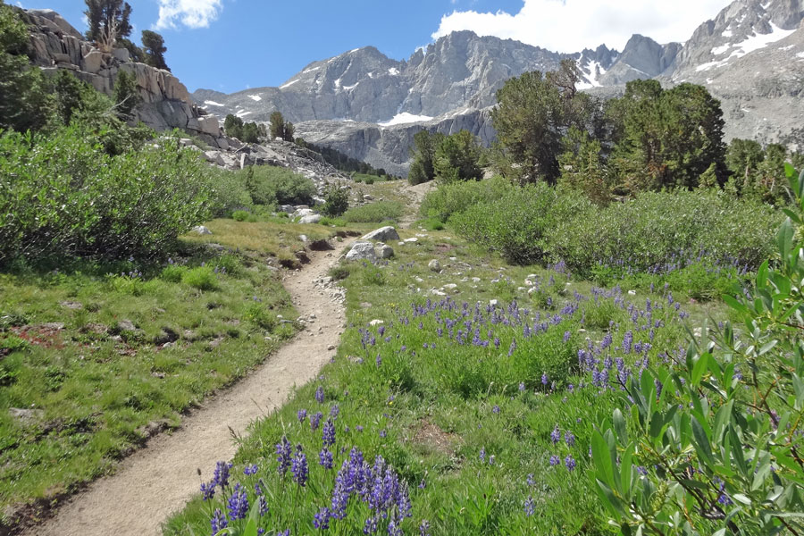 Kings Canyon National Park trail, California